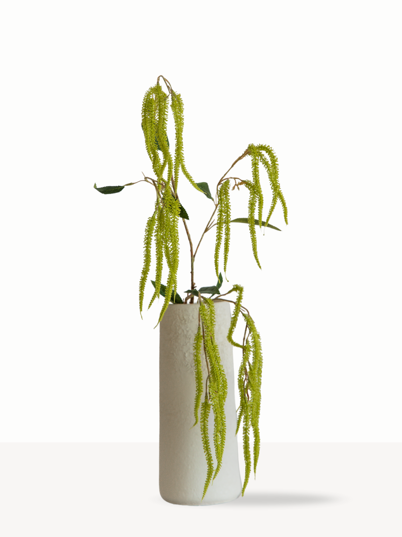 Amaranthus groen