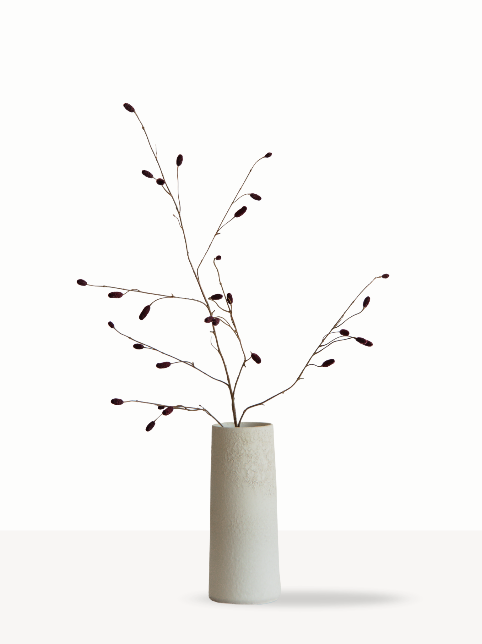 Pimpernel burgundy
