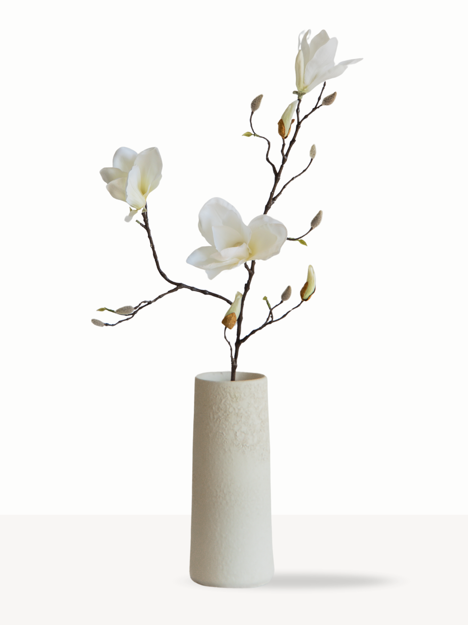 Magnolia wit