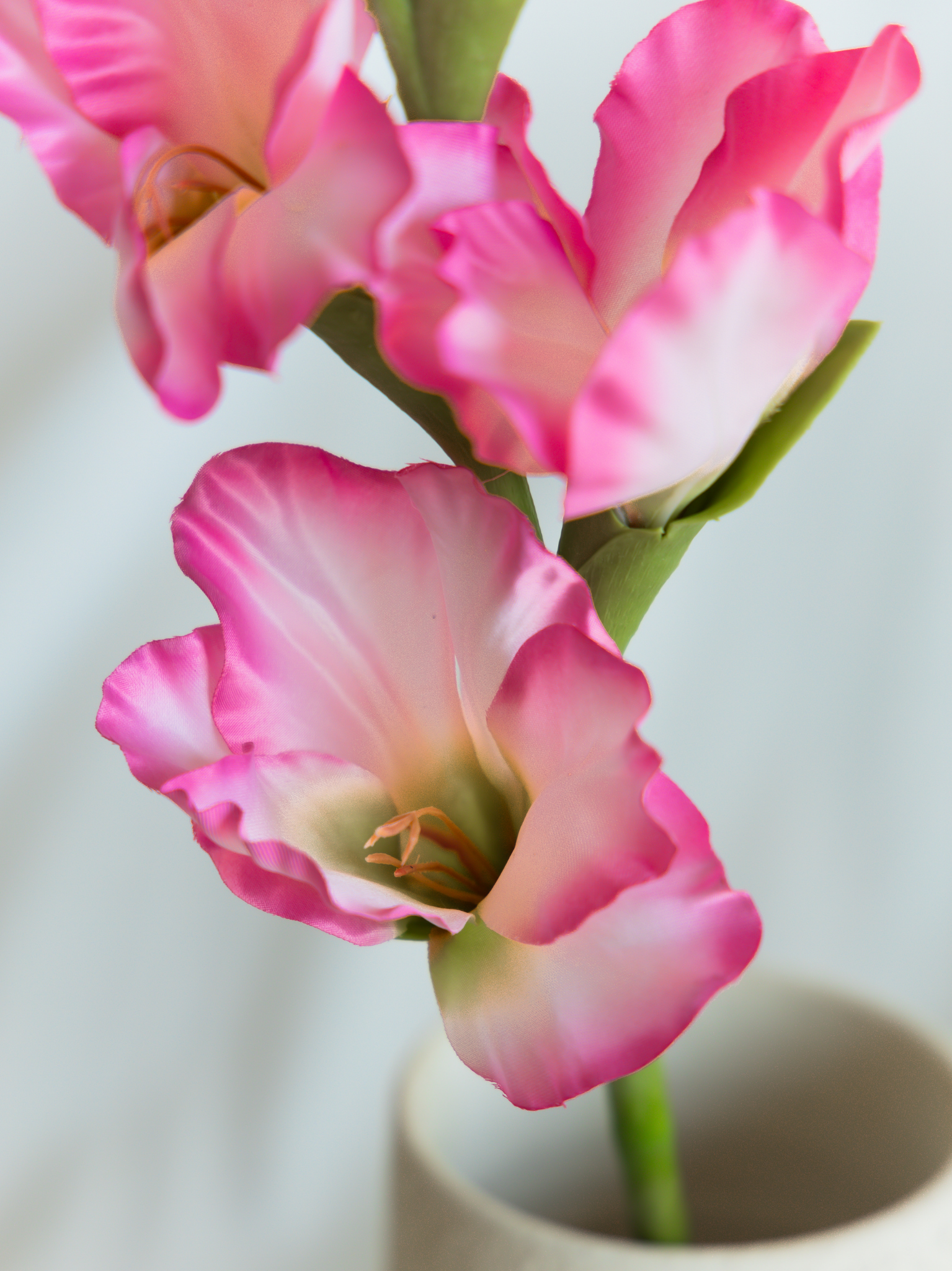 Detailfoto roze zijden gladiool