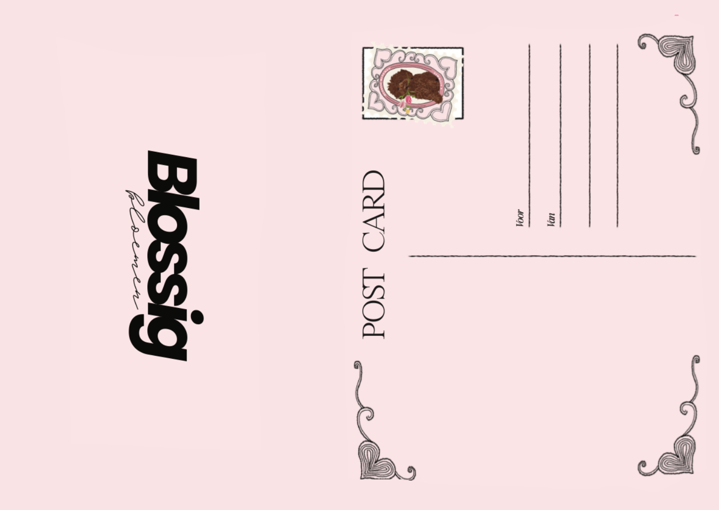 Blossig Bloemen cadeaubon