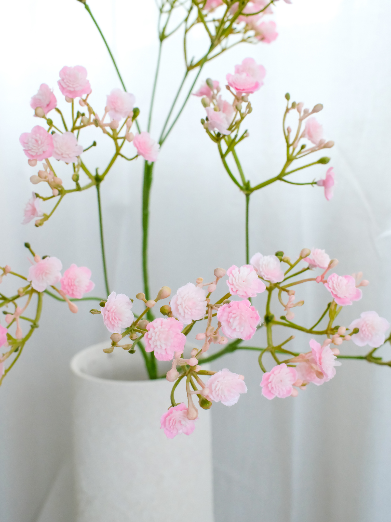 Gipskruid licht roze