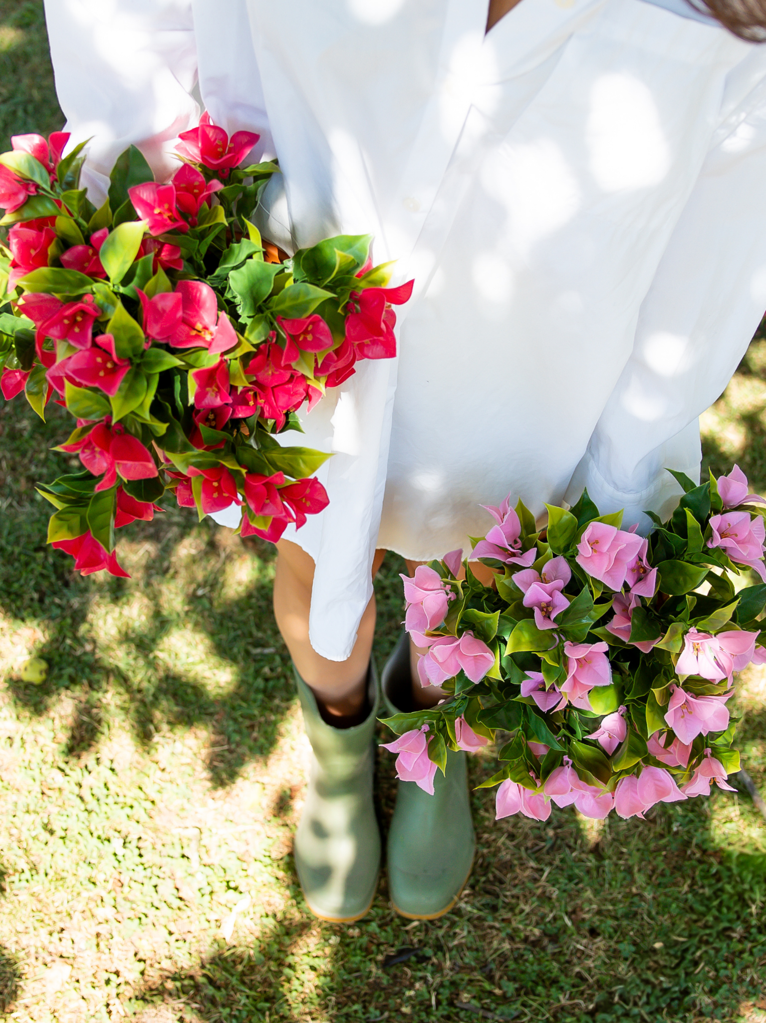 Bougainvillea rood