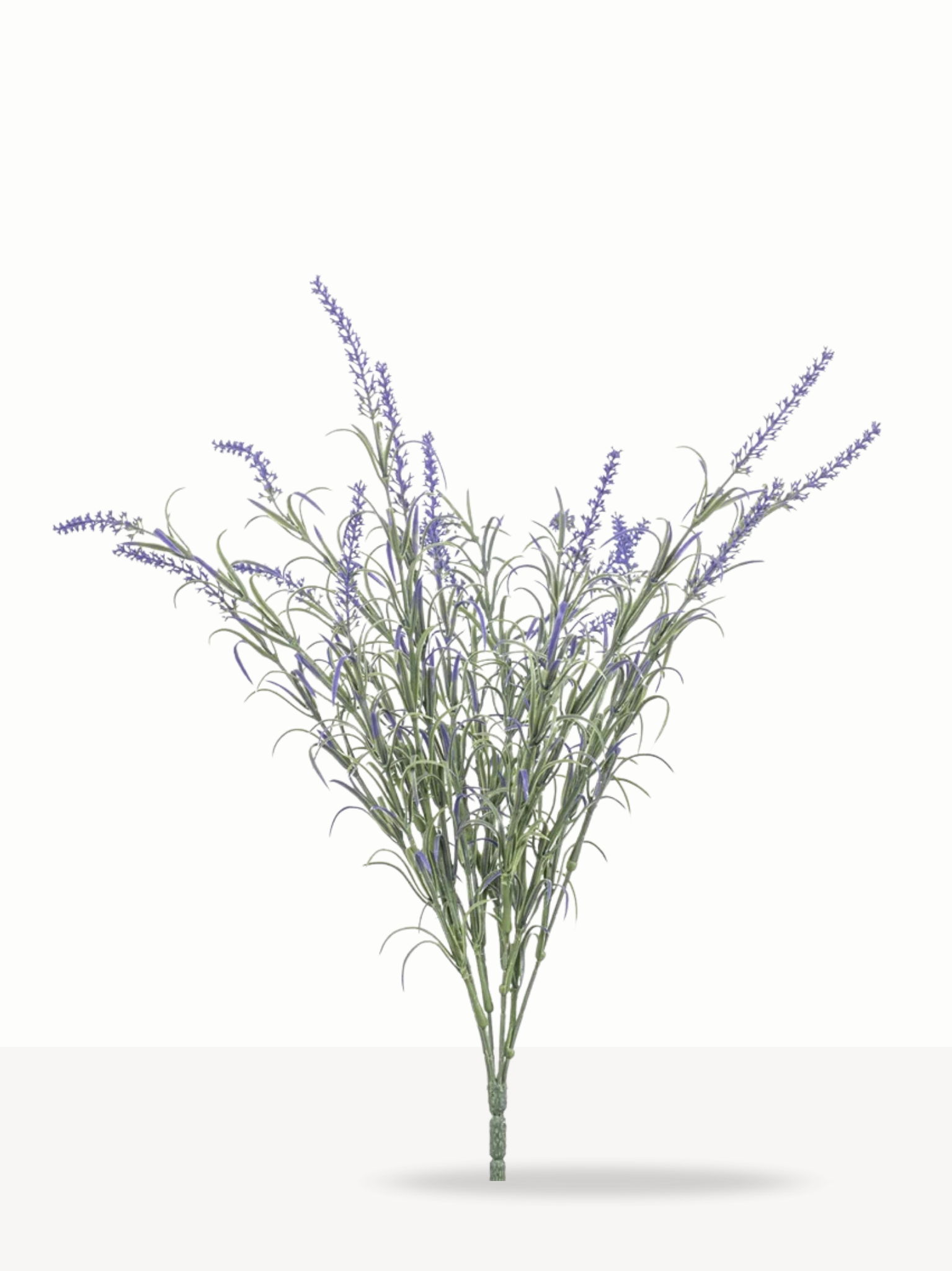 Lavendel