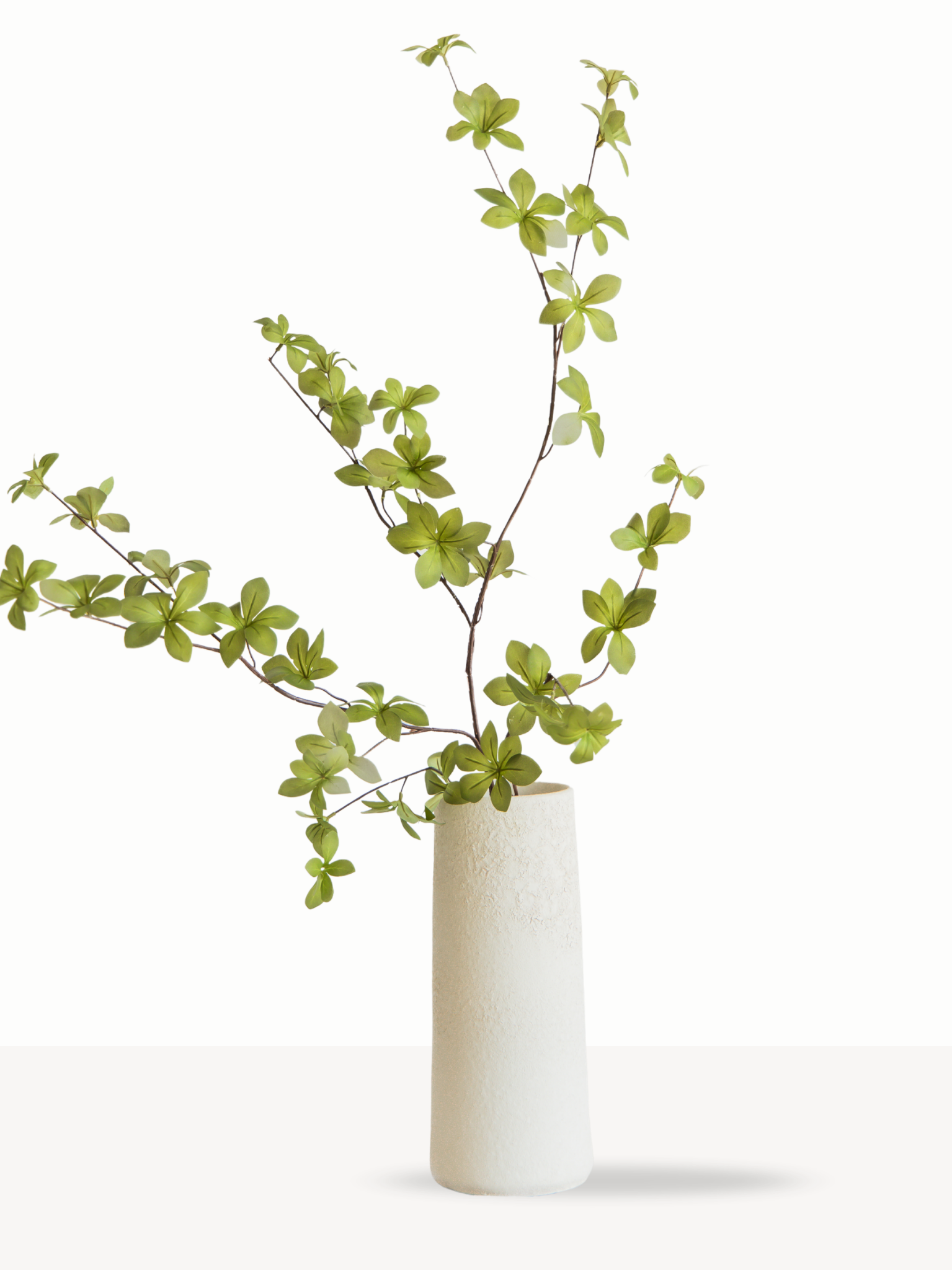 Sterblad groen