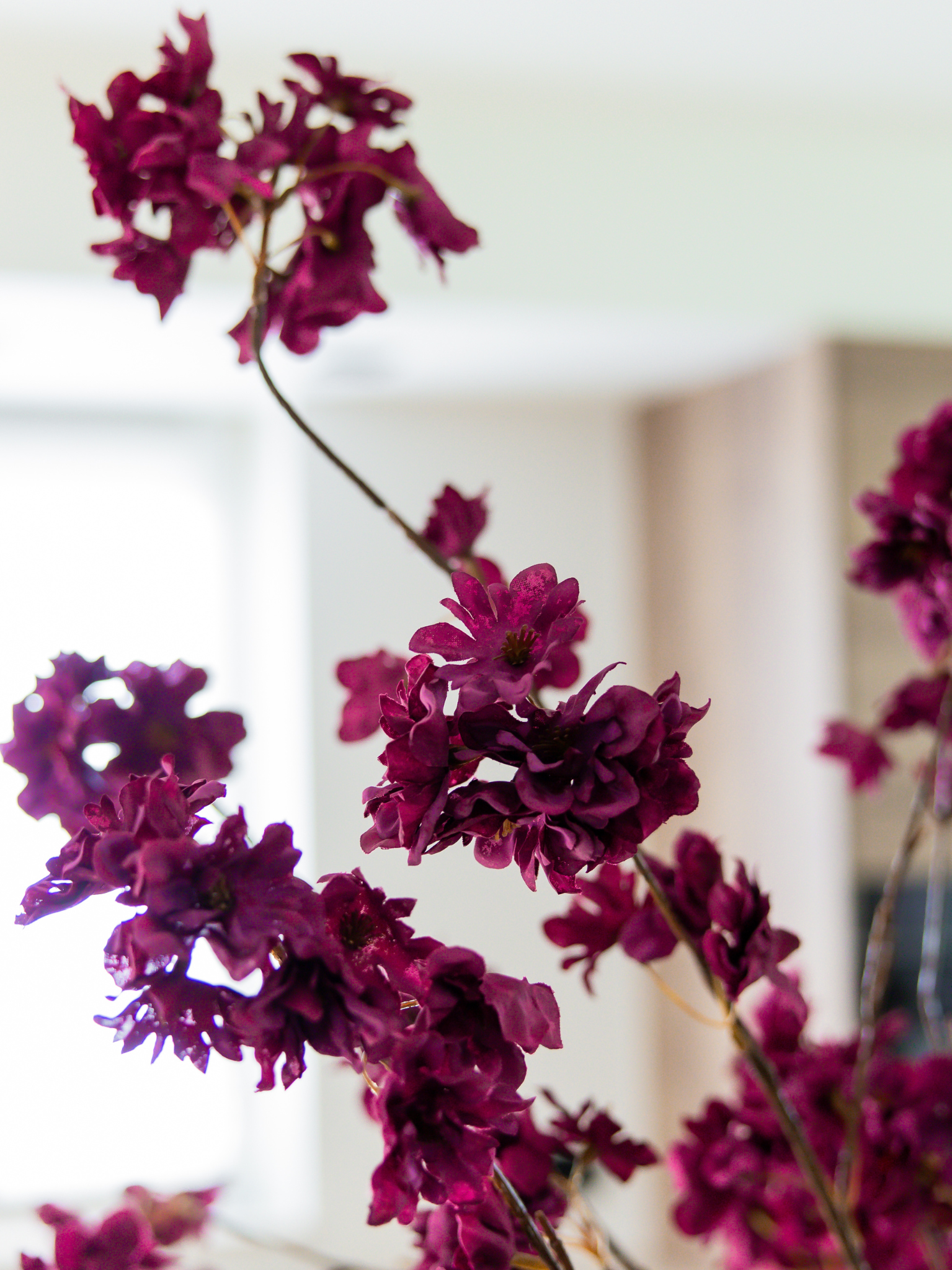 Tak blossom