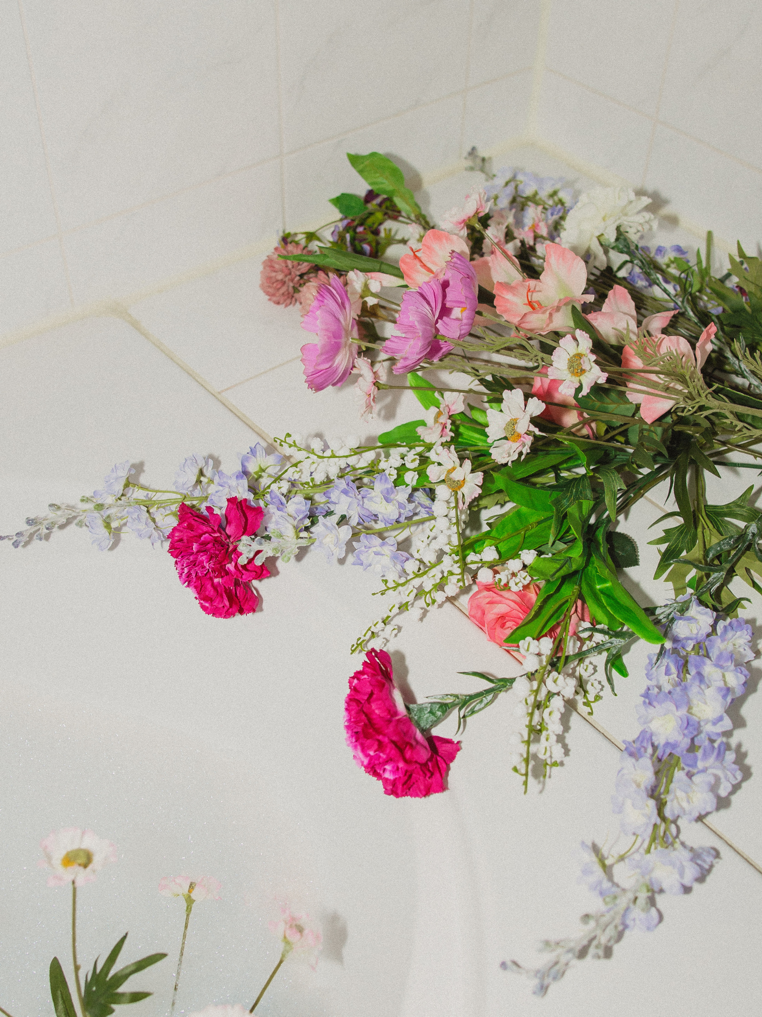 Ridderspoor – juli