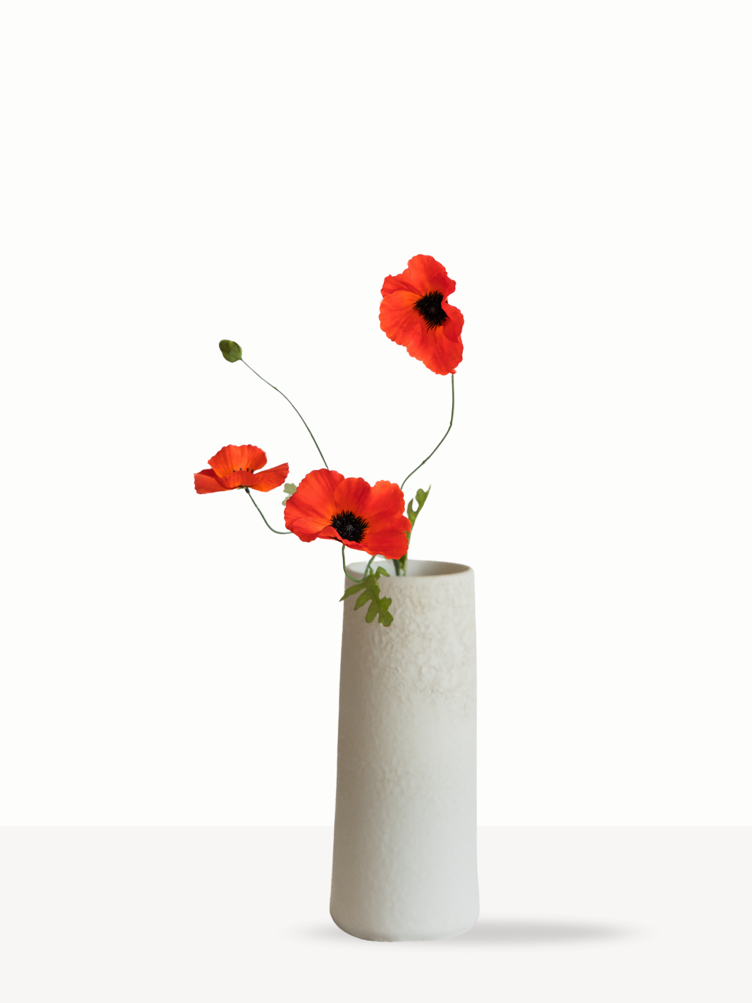 Poppy rood