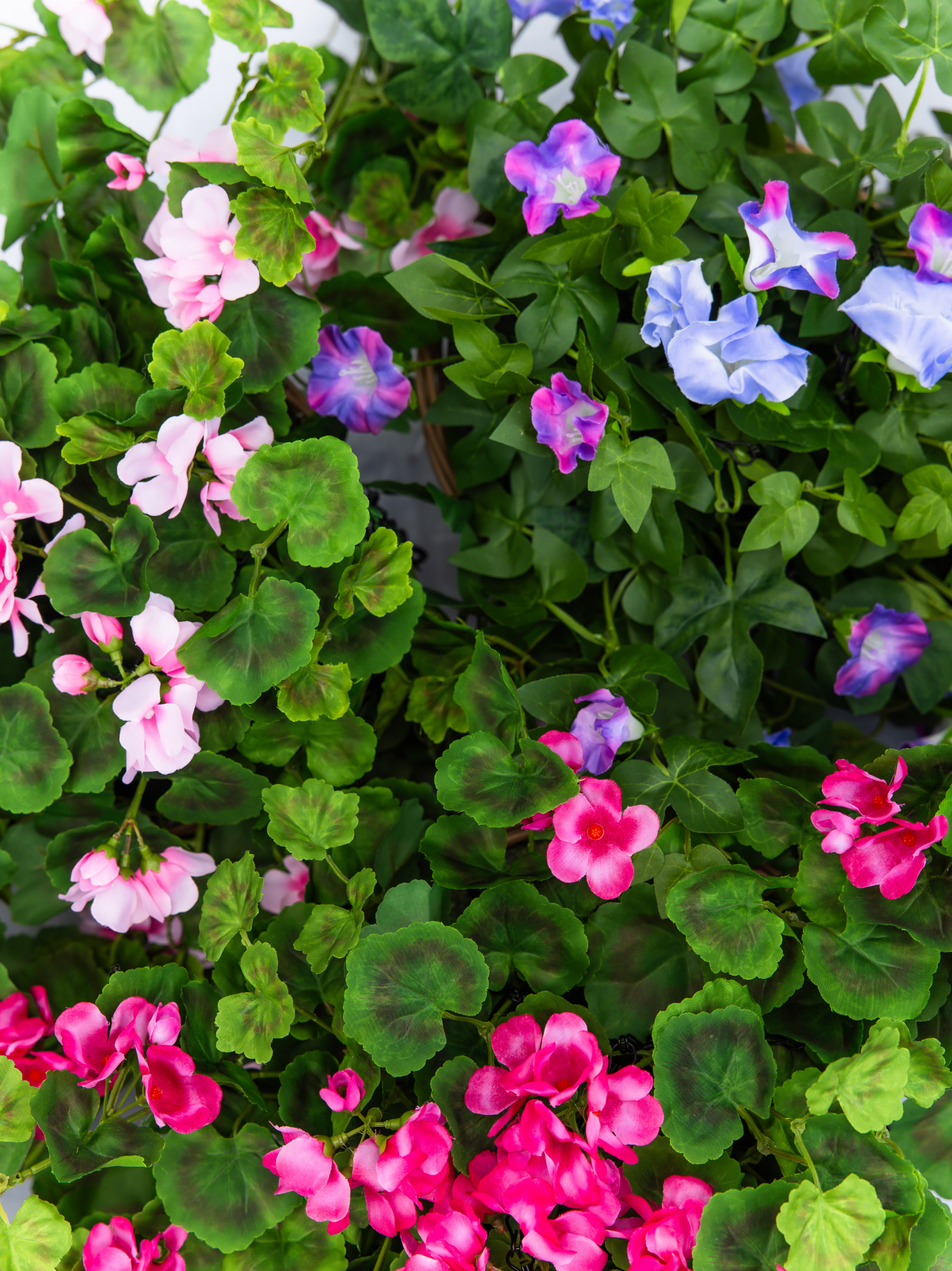 Hangplant petunia lila