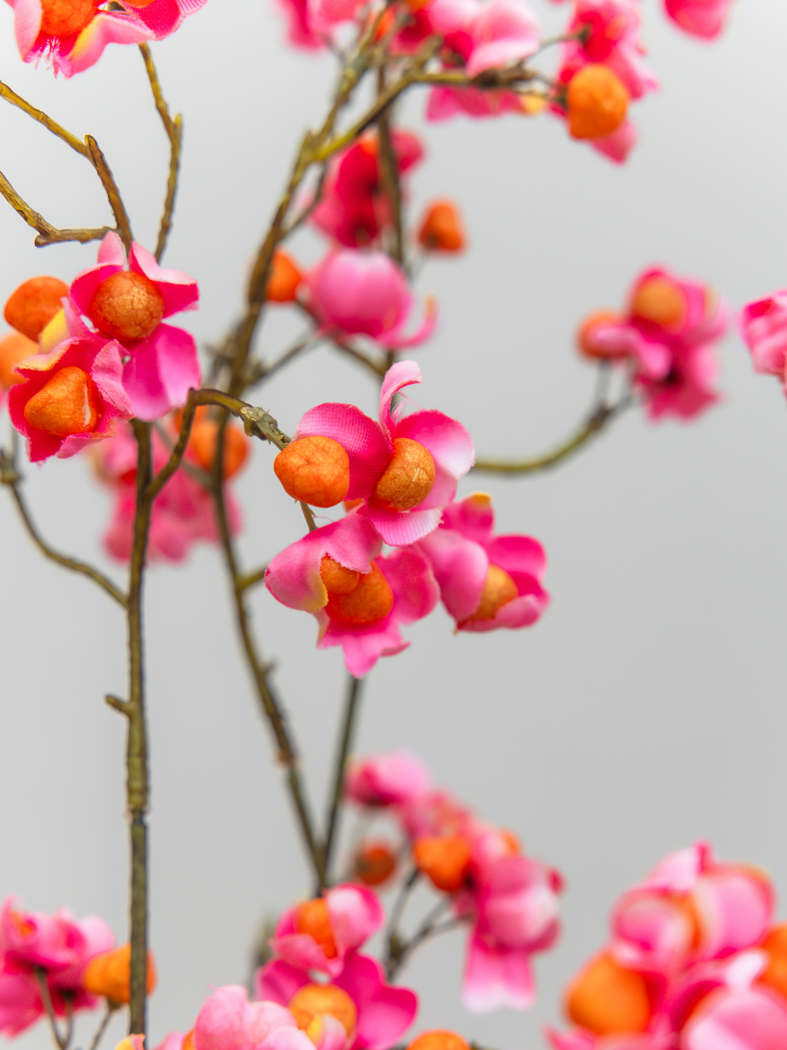 Tak Cherry roze