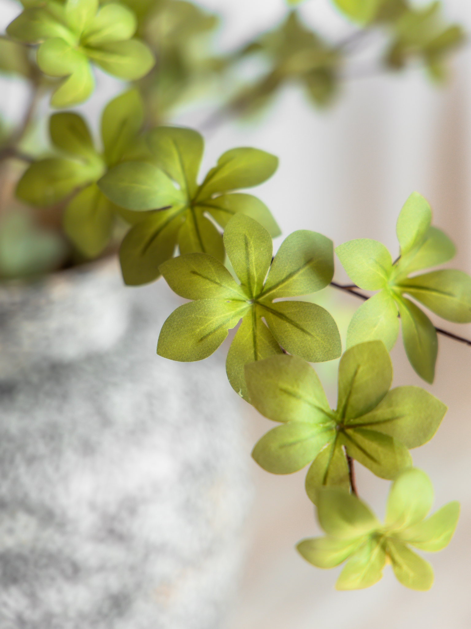 Sterblad groen