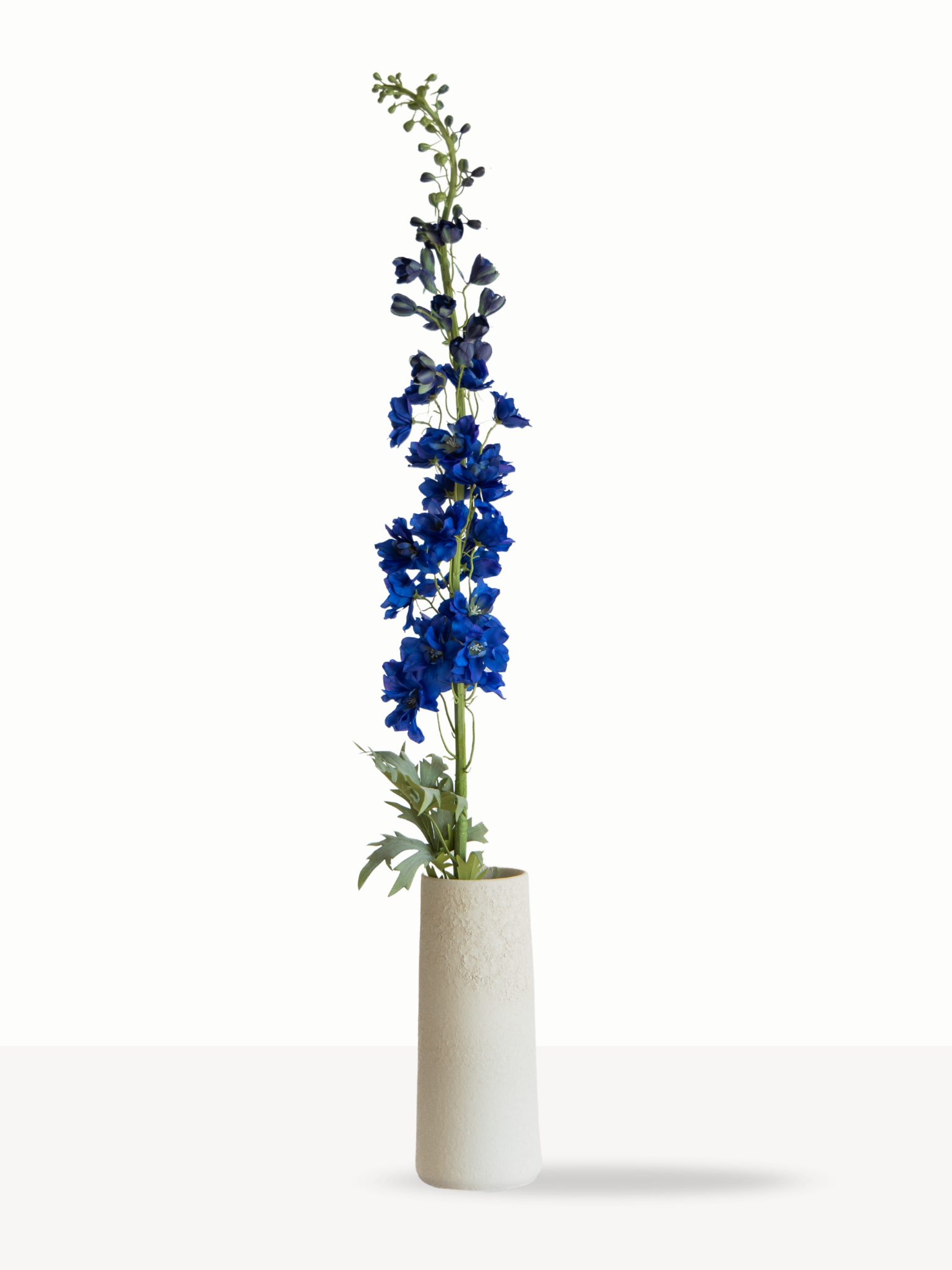 Delphinium blauw XL